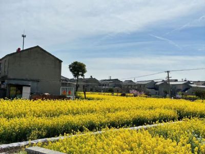 南京江寧區楊柳湖風(fēng)景區附近農房出租